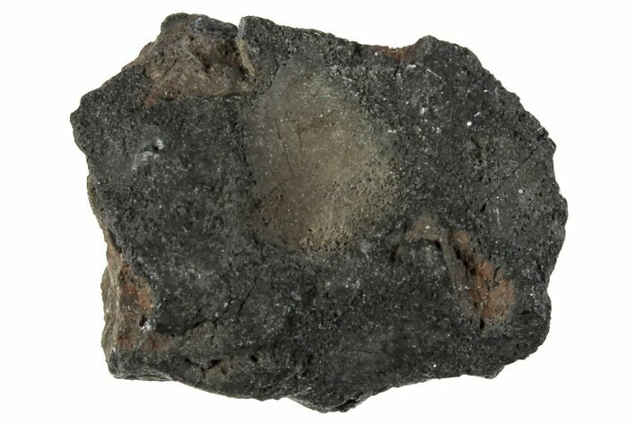 Chelyabinsk Meteorite ( g) - Witnessed Fall #267405